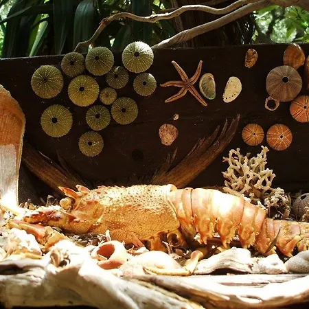 Tilemachos Traditional House Дом отдыха