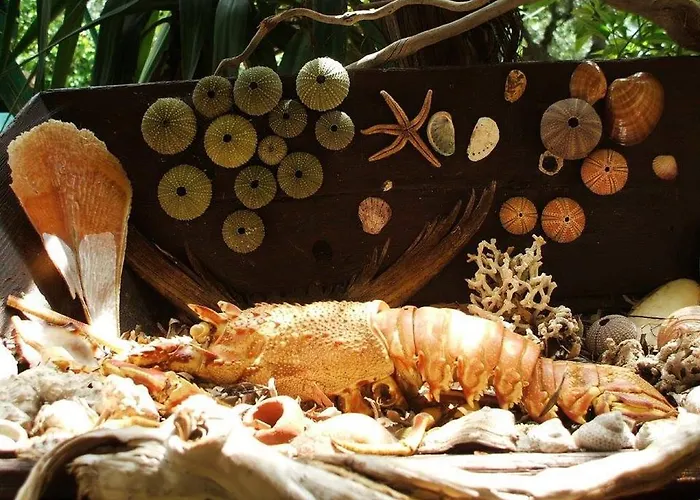 Tilemachos Traditional House Дом отдыха