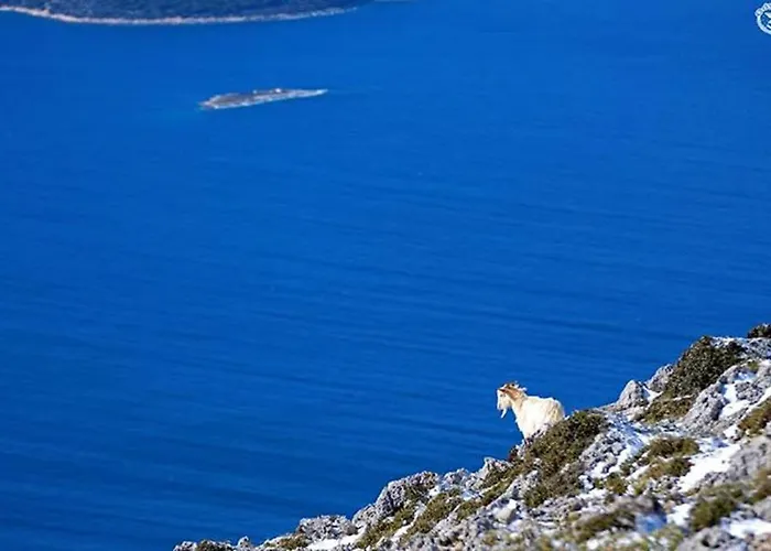 Дом отдыха Tilemachos Traditional House