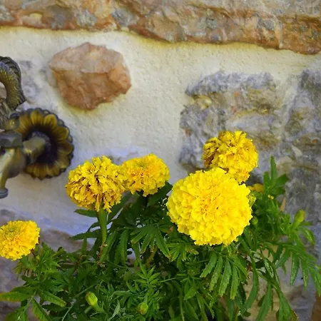 Σπίτι διακοπών Tilemachos Traditional House